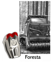 Forestale